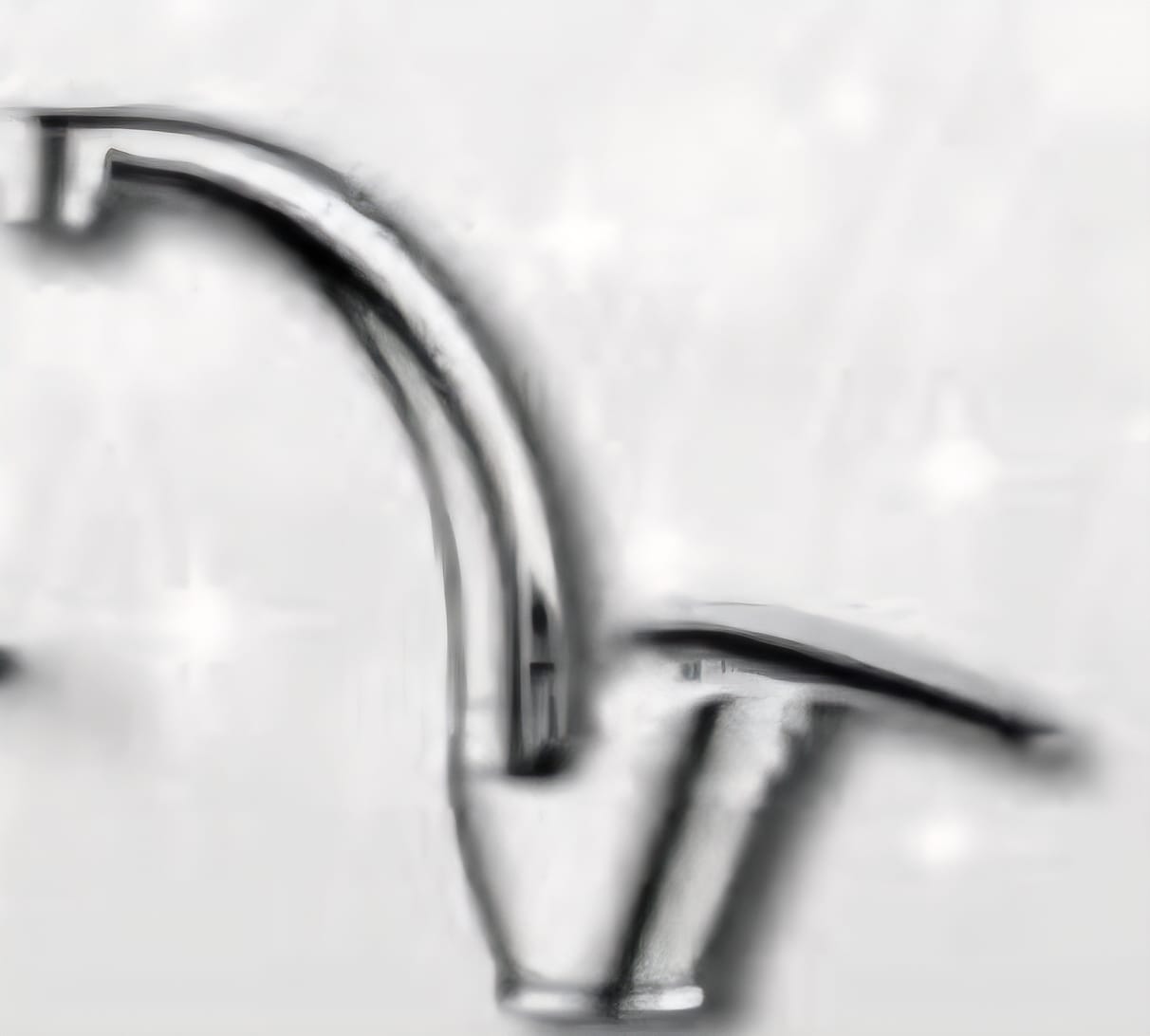 28f74559-889b-49fa-b2c5-2355ce7b6050 ברז פרח ברבור SWAN כרום AQUILA – תמונה 1