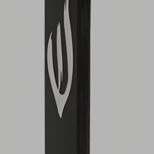 מזוזה פלסטיק שחורה 15 סמ עם ש זהב עם פקק גומי